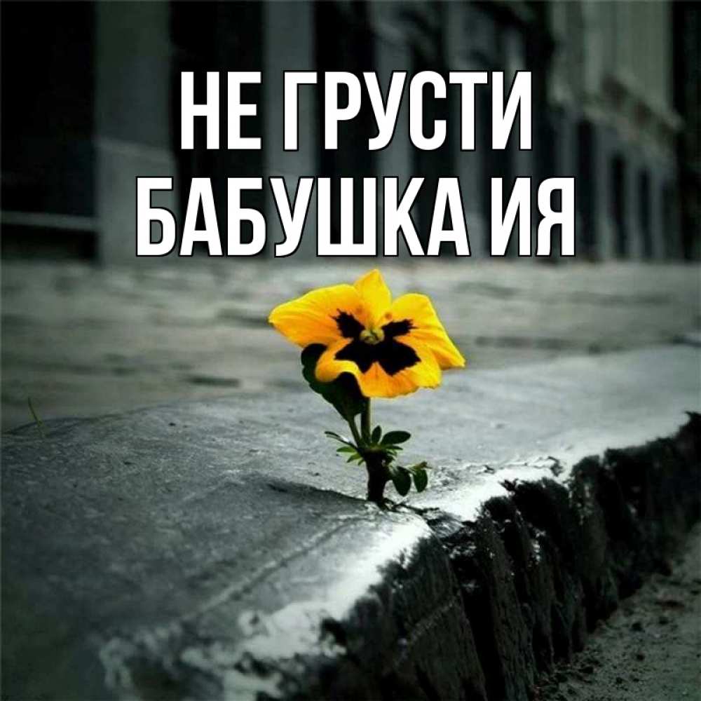 Открытка на каждый день с именем, Бабушка-Ия Не грусти не сдавайся Прикольная открытка с пожеланием онлайн скачать бесплатно 