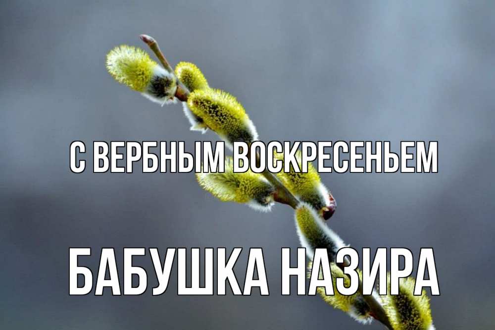 Открытка на каждый день с именем, Бабушка-Назира С вербным воскресеньем верба Прикольная открытка с пожеланием онлайн скачать бесплатно 