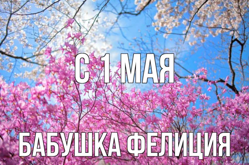 Открытка на каждый день с именем, Бабушка-Фелиция С 1 мая С 1 мая Прикольная открытка с пожеланием онлайн скачать бесплатно 