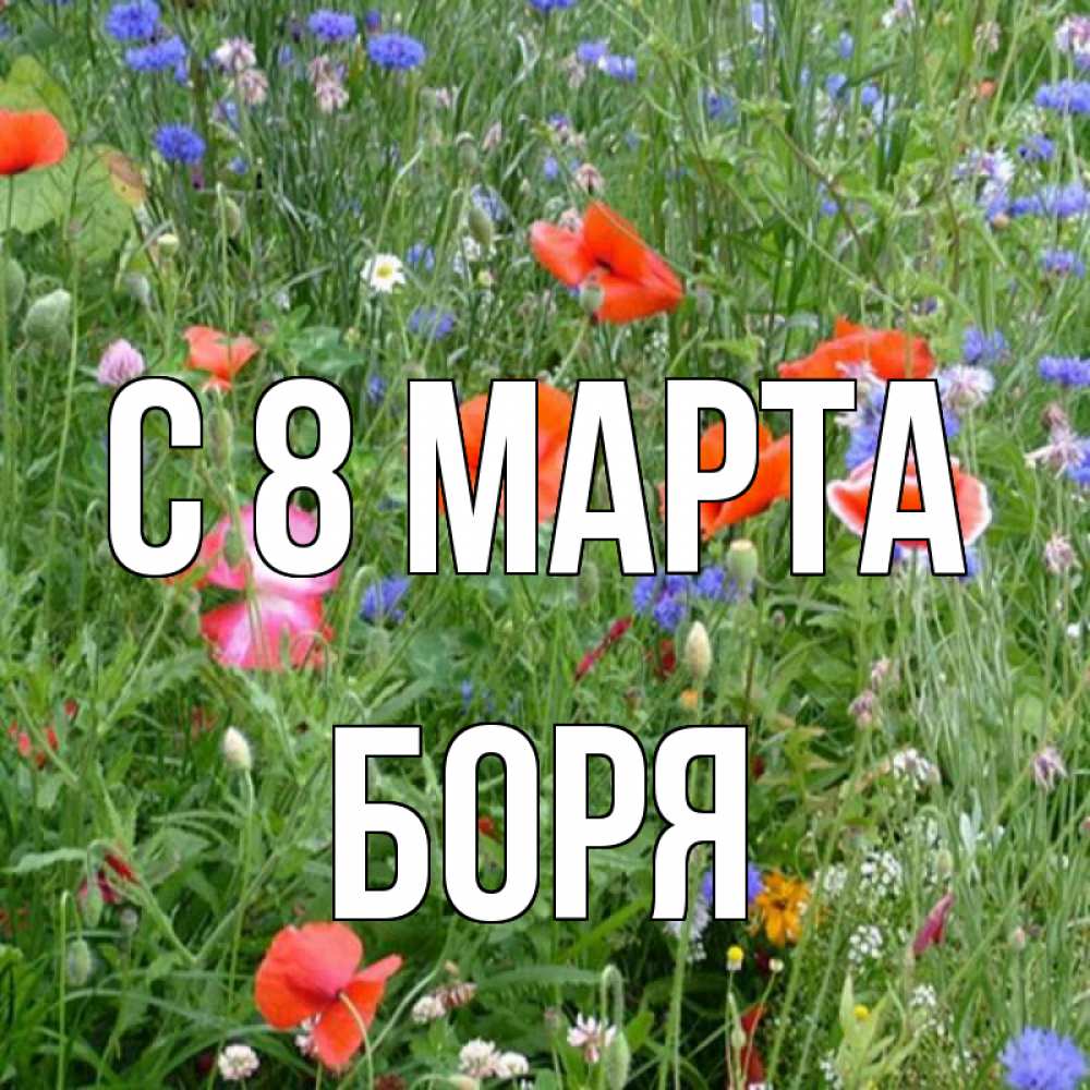 Открытка на каждый день с именем, Боря С 8 МАРТА международный женский день 4 Прикольная открытка с пожеланием онлайн скачать бесплатно 