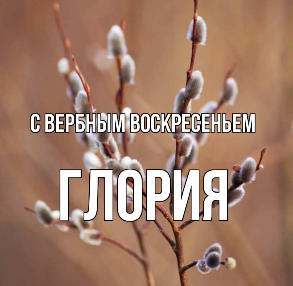 Открытка на каждый день с именем, Глория С вербным воскресеньем верба Прикольная открытка с пожеланием онлайн скачать бесплатно 