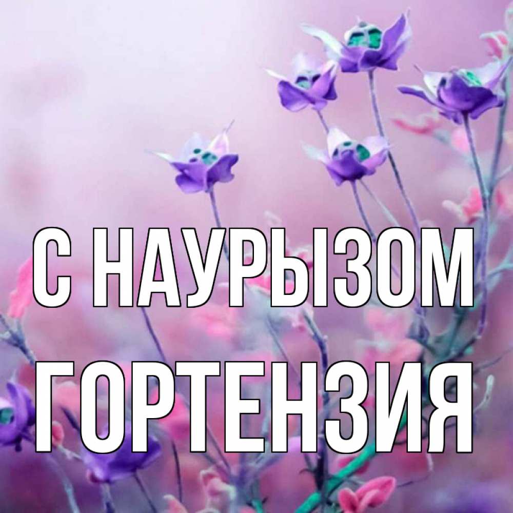 Открытка на каждый день с именем, Гортензия С наурызом международный женский день 2 Прикольная открытка с пожеланием онлайн скачать бесплатно 