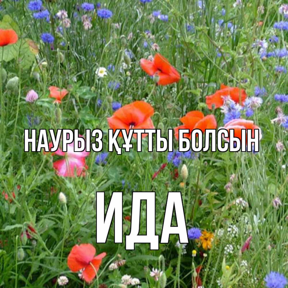 Открытка на каждый день с именем, Ида Наурыз құтты болсын наурыз  4 Прикольная открытка с пожеланием онлайн скачать бесплатно 