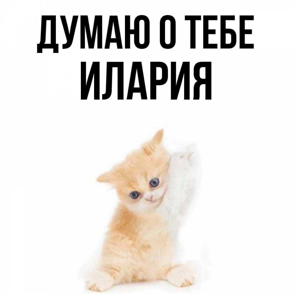 Открытка на каждый день с именем, Илария Думаю о тебе зверушки и милота Прикольная открытка с пожеланием онлайн скачать бесплатно 