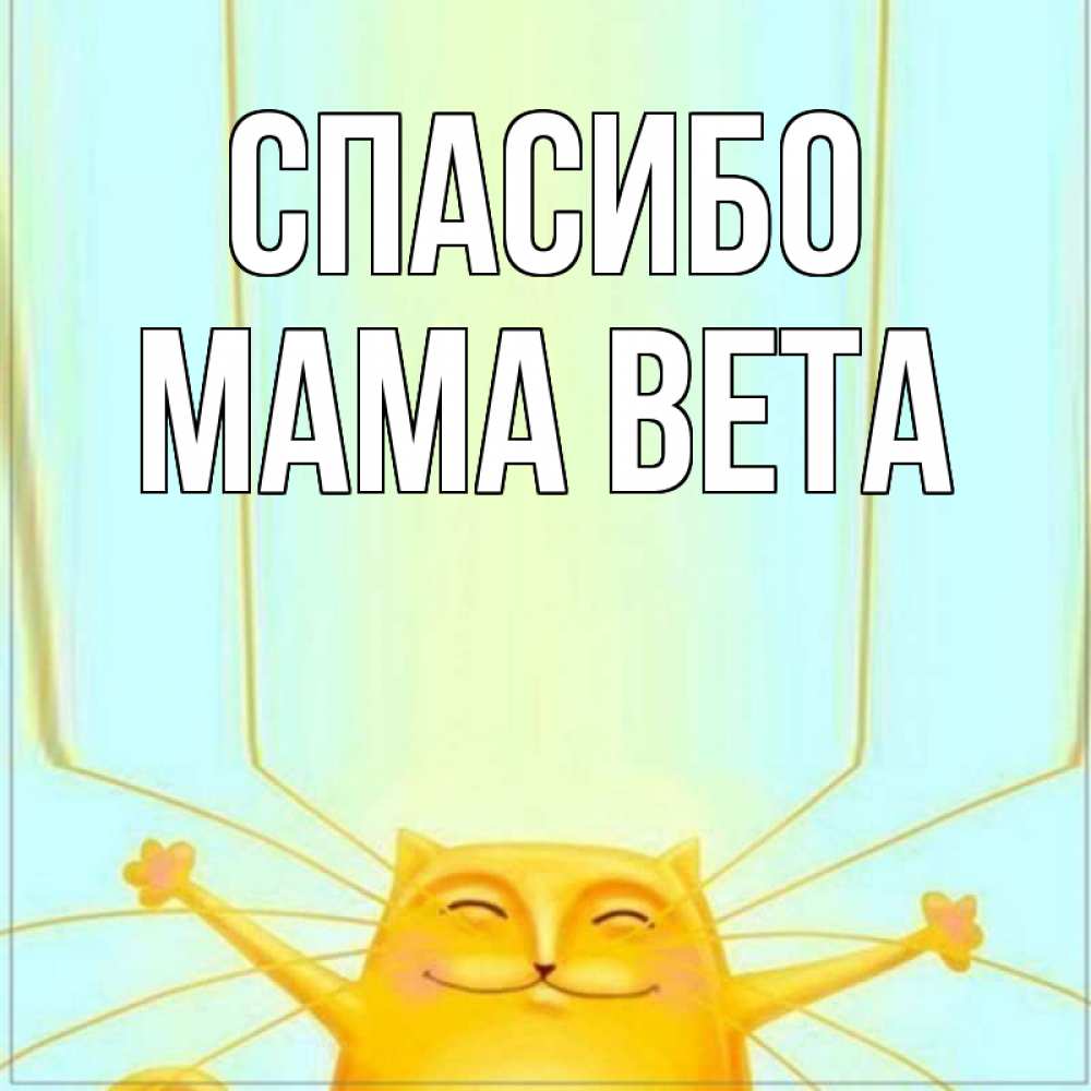 Открытка на каждый день с именем, Мама-Вета Спасибо кот с усами благодарит Прикольная открытка с пожеланием онлайн скачать бесплатно 