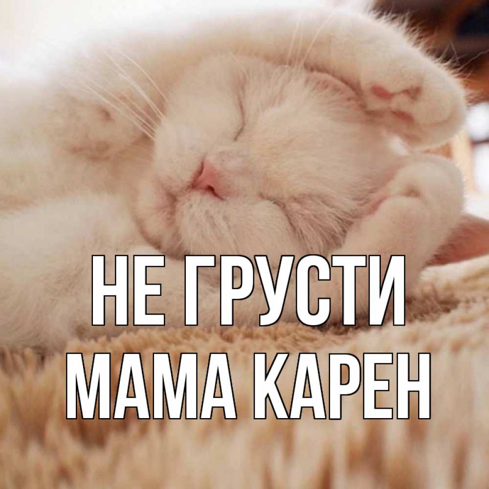 Открытка на каждый день с именем, Мама-Карен Не грусти белый кот Прикольная открытка с пожеланием онлайн скачать бесплатно 