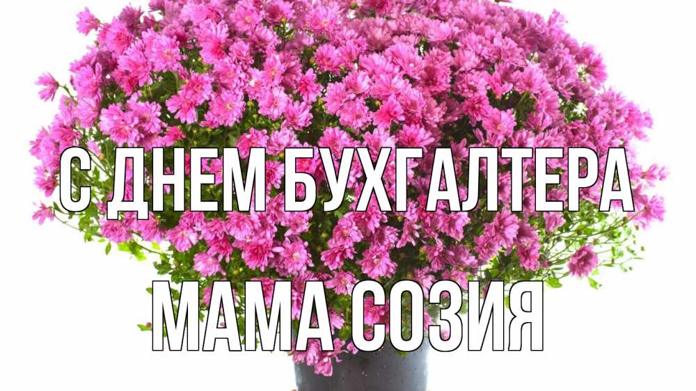 Открытка на каждый день с именем, Мама-Созия С днем бухгалтера с днем бухгалтера Прикольная открытка с пожеланием онлайн скачать бесплатно 