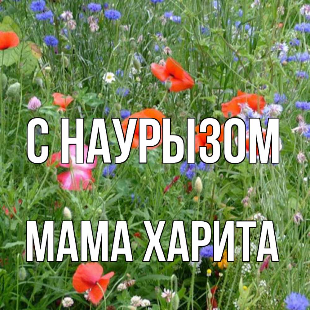 Открытка на каждый день с именем, Мама-Харита С наурызом праздник весны наурыз супер открытка Прикольная открытка с пожеланием онлайн скачать бесплатно 