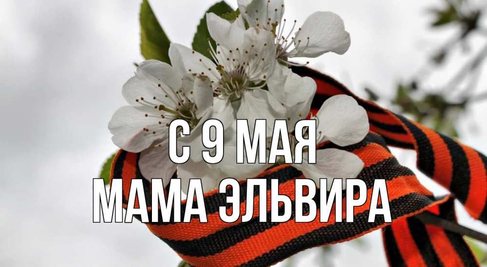 Открытка на каждый день с именем, Мама-Эльвира С 9 мая 9 мая Прикольная открытка с пожеланием онлайн скачать бесплатно 