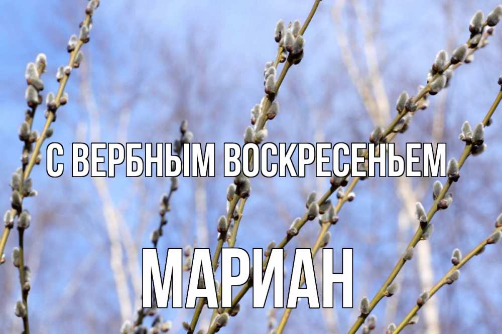 Открытка на каждый день с именем, Мариан С вербным воскресеньем верба Прикольная открытка с пожеланием онлайн скачать бесплатно 