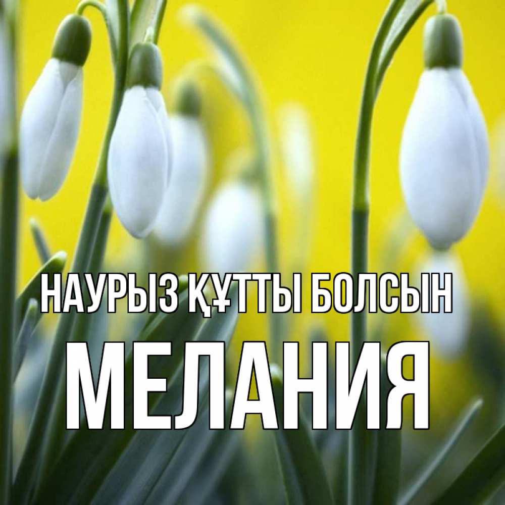 Открытка на каждый день с именем, Мелания Наурыз құтты болсын весенние цветы Прикольная открытка с пожеланием онлайн скачать бесплатно 