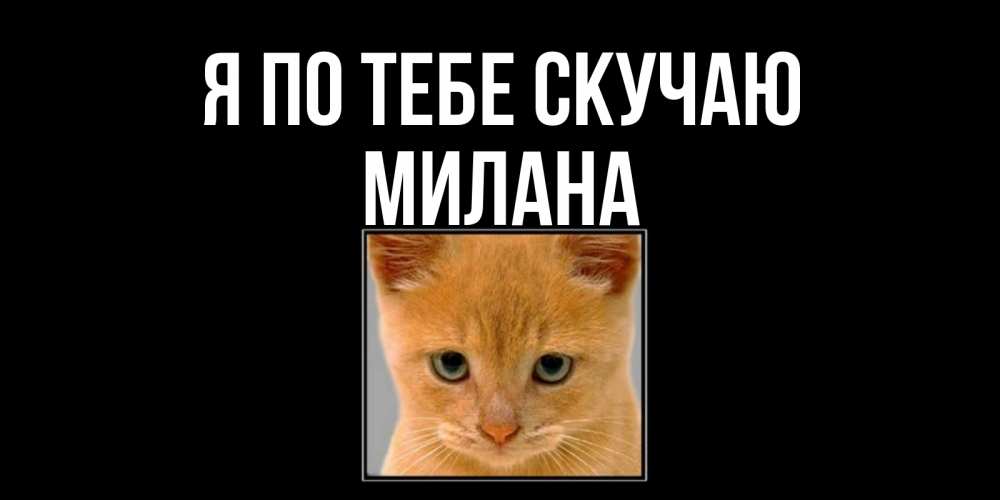 Открытка на каждый день с именем, Милана Я по тебе скучаю открытки рыжий котенок скучает по тебе Прикольная открытка с пожеланием онлайн скачать бесплатно 