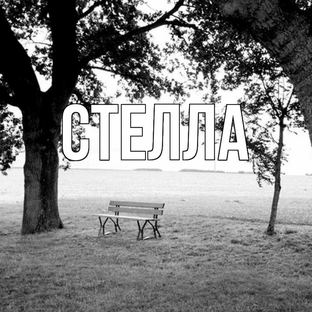 Открытка на каждый день с именем, Стелла Главная приходи Прикольная открытка с пожеланием онлайн скачать бесплатно 