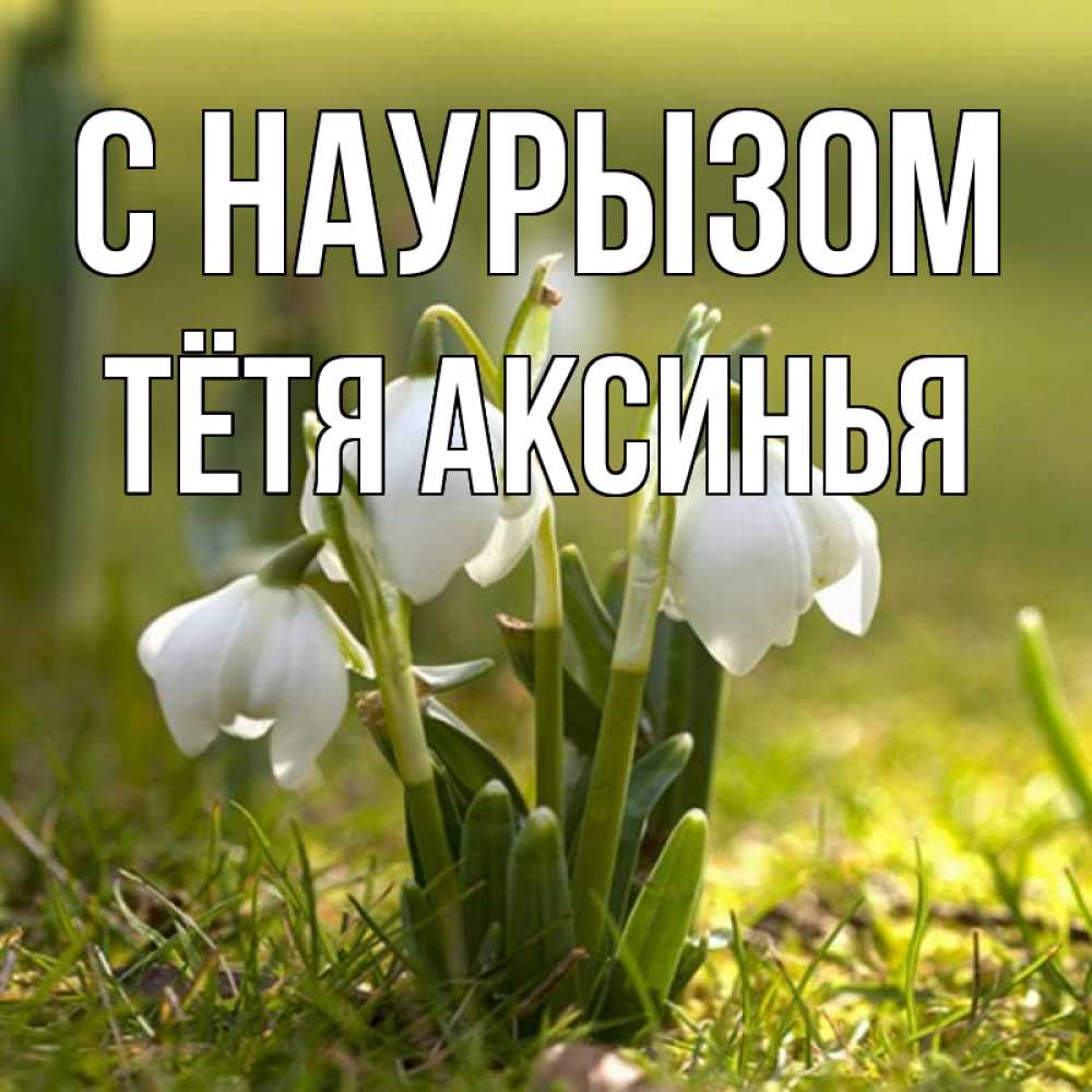 Открытка на каждый день с именем, Тётя-Аксинья С наурызом ранние цветы 2 Прикольная открытка с пожеланием онлайн скачать бесплатно 