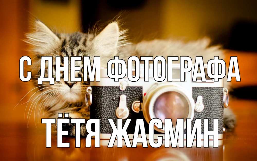 Открытка на каждый день с именем, Тётя-Жасмин С днем фотографа с днем фотографа Прикольная открытка с пожеланием онлайн скачать бесплатно 