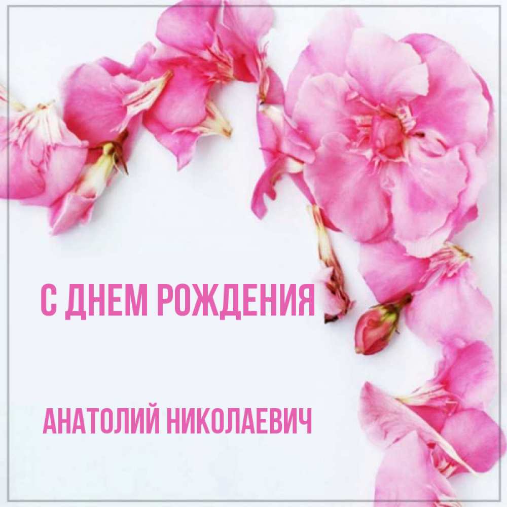 Открытка на каждый день с именем, Анатолий-Николаевич С днем рождения Красивая открытка для поздравления с днем рождения Прикольная открытка с пожеланием онлайн скачать бесплатно 