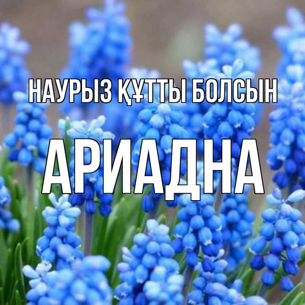 Открытка на каждый день с именем, Ариадна Наурыз құтты болсын Поздравительная открытка для женщин с цветами на праздничную дату Прикольная открытка с пожеланием онлайн скачать бесплатно 