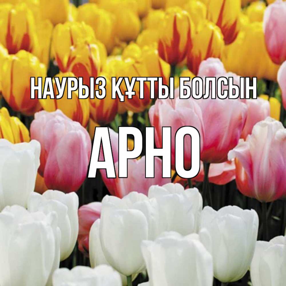 Открытка на каждый день с именем, Арно Наурыз құтты болсын разноцветные цветы Прикольная открытка с пожеланием онлайн скачать бесплатно 