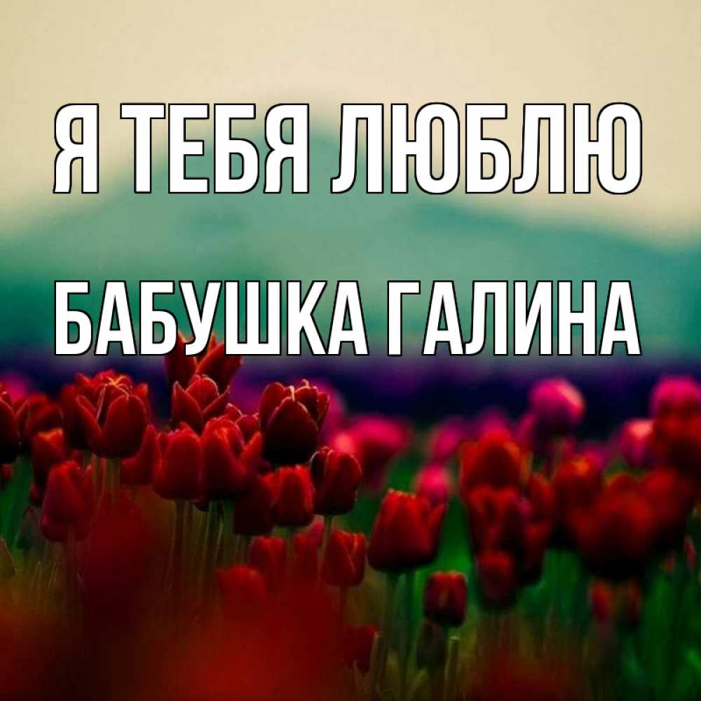 Открытка на каждый день с именем, Бабушка-Галина Я тебя люблю тюльпаны 4 Прикольная открытка с пожеланием онлайн скачать бесплатно 