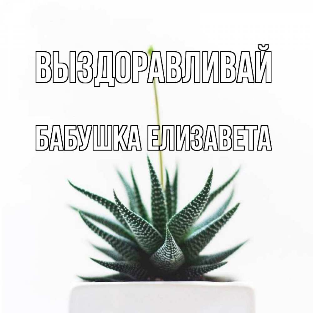 Открытка на каждый день с именем, Бабушка-Елизавета Выздоравливай короче это непонятная колючка Прикольная открытка с пожеланием онлайн скачать бесплатно 