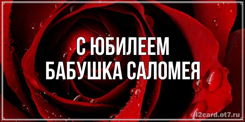 Открытка на каждый день с именем, Бабушка-Саломея С юбилеем крупная бордовая роза Прикольная открытка с пожеланием онлайн скачать бесплатно 