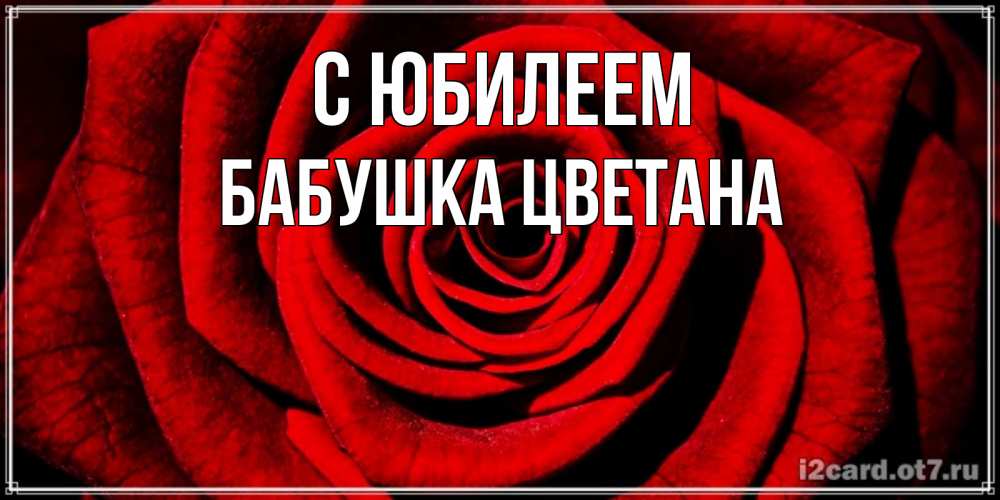 Открытка на каждый день с именем, Бабушка-Цветана С юбилеем алая роза Прикольная открытка с пожеланием онлайн скачать бесплатно 