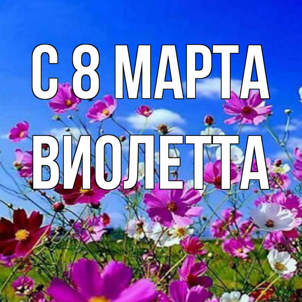 Открытка на каждый день с именем, Виолетта С 8 МАРТА цветы Прикольная открытка с пожеланием онлайн скачать бесплатно 