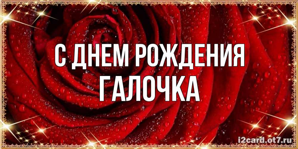 Открытка на каждый день с именем, ГАЛОЧКА С днем рождения роса на розе блестящая в лучах солнца Прикольная открытка с пожеланием онлайн скачать бесплатно 