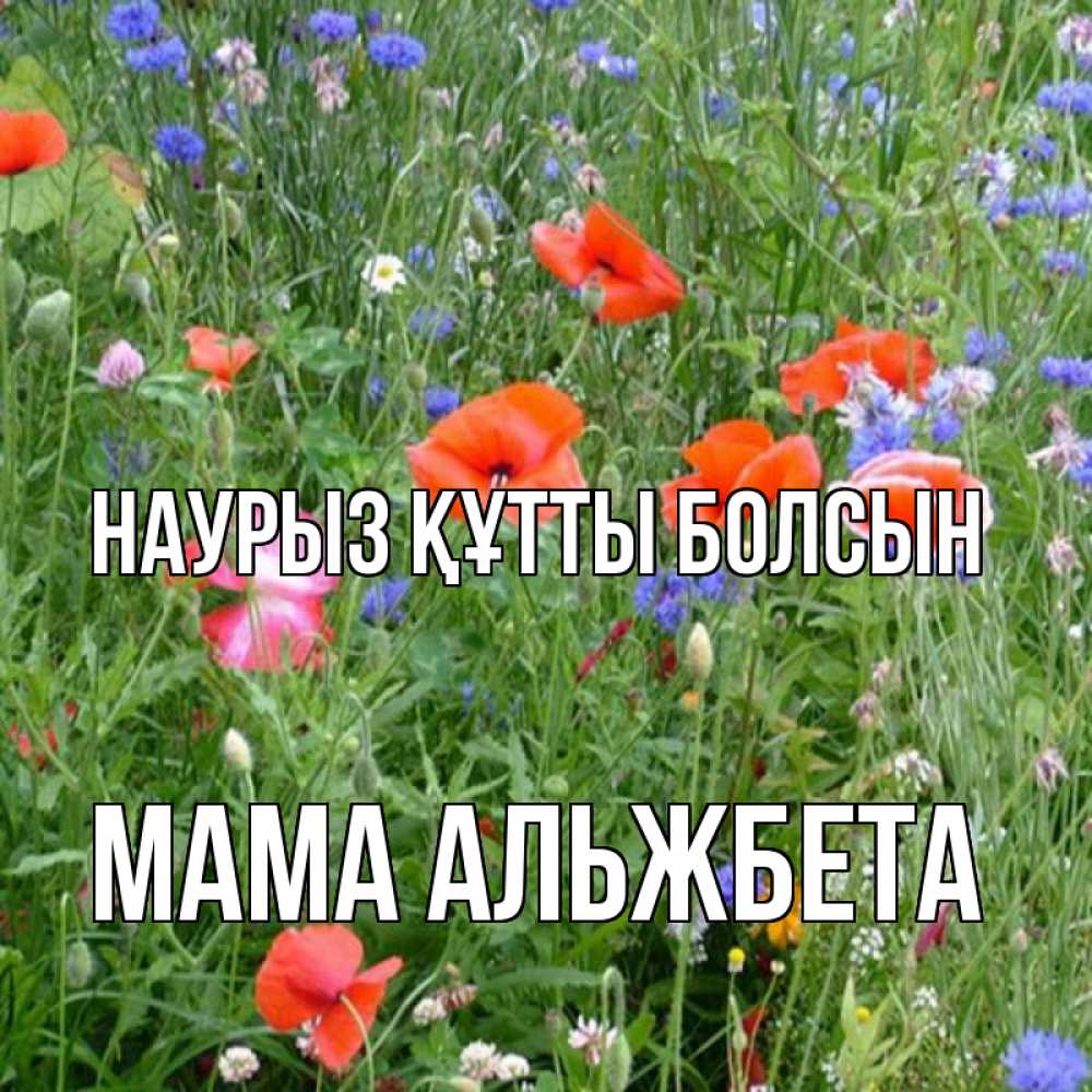 Открытка на каждый день с именем, Мама-Альжбета Наурыз құтты болсын наурыз  4 Прикольная открытка с пожеланием онлайн скачать бесплатно 
