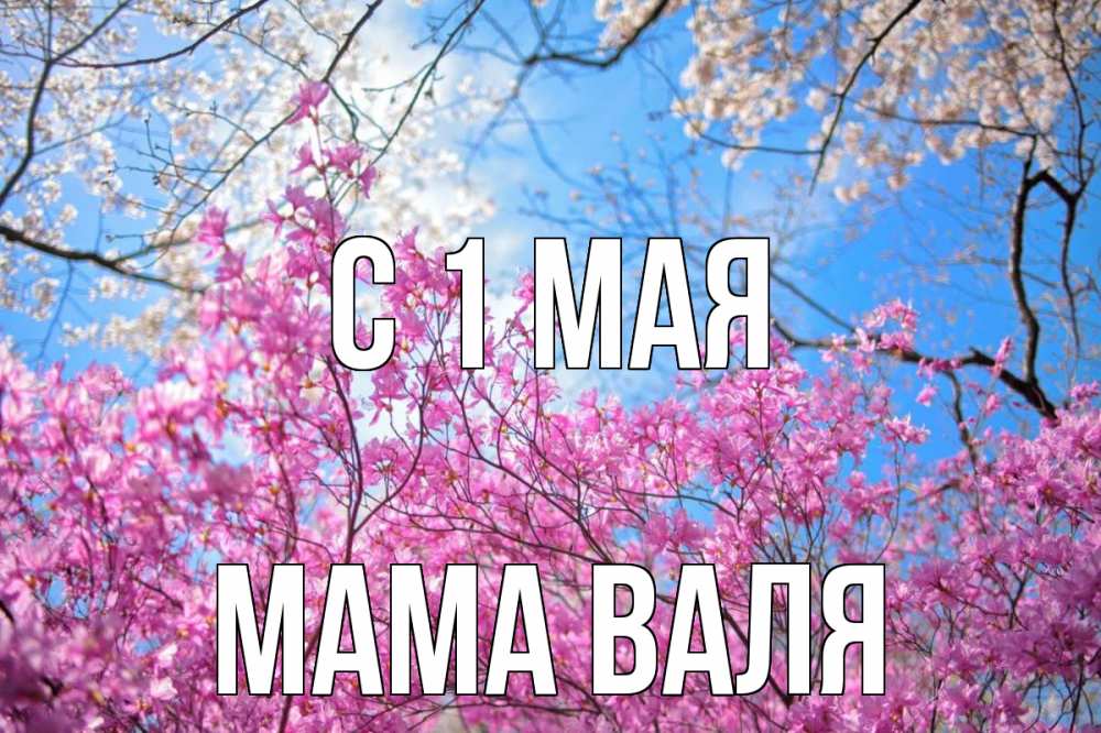 Открытка на каждый день с именем, Мама-Валя С 1 мая С 1 мая Прикольная открытка с пожеланием онлайн скачать бесплатно 