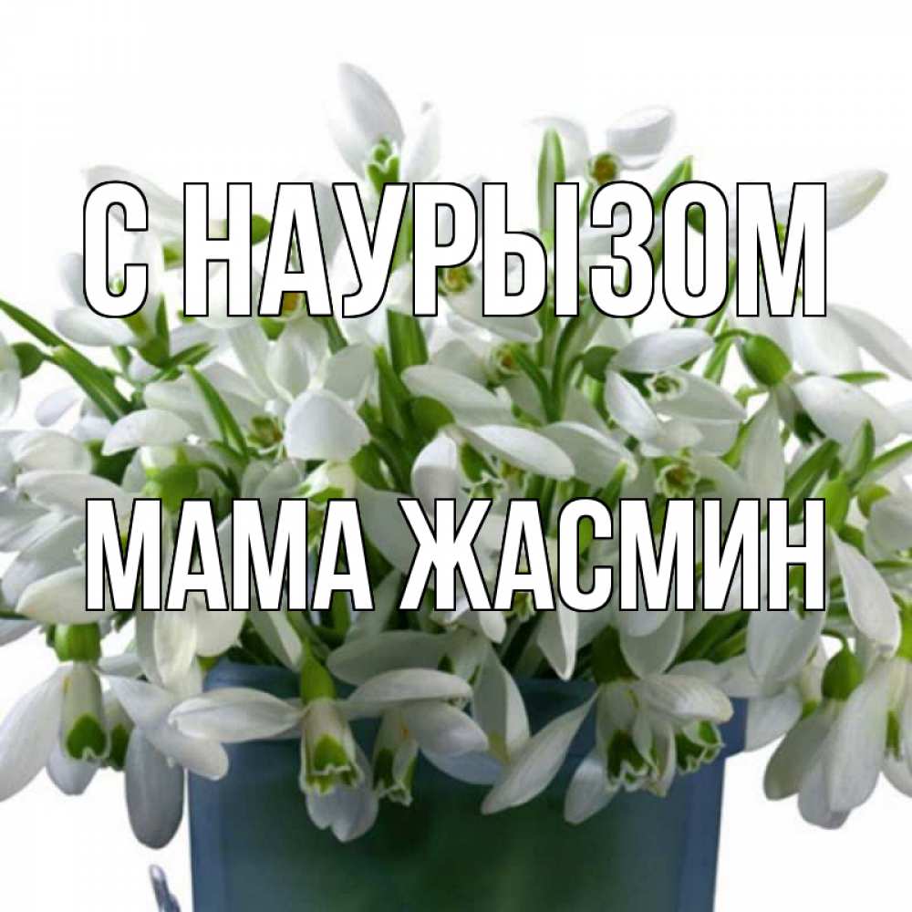Открытка на каждый день с именем, Мама-Жасмин С наурызом цветы к наурызу новый год в Казахстане Прикольная открытка с пожеланием онлайн скачать бесплатно 