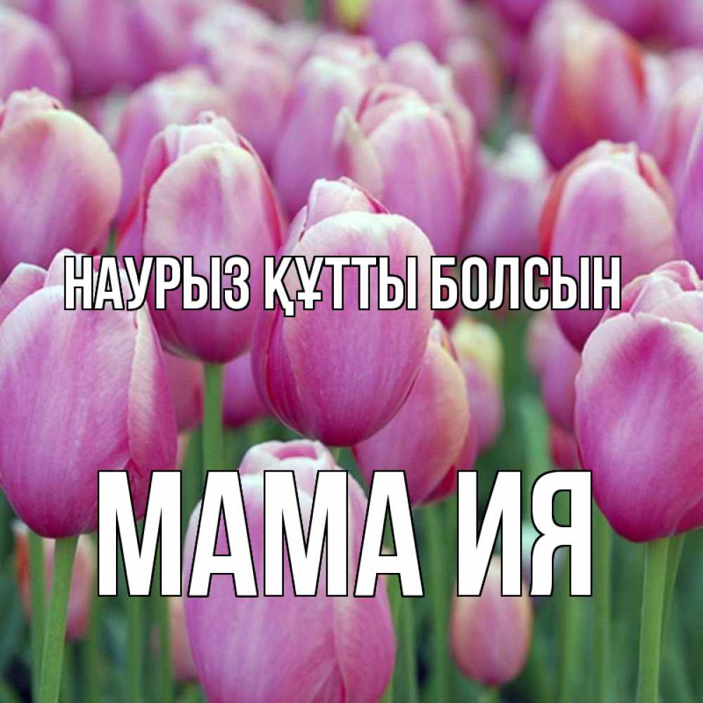 Открытка на каждый день с именем, Мама-Ия Наурыз құтты болсын на наурыз  день 3 Прикольная открытка с пожеланием онлайн скачать бесплатно 