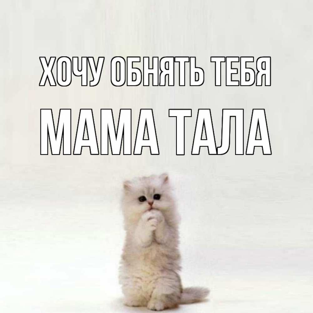 Открытка на каждый день с именем, Мама-Тала Хочу обнять тебя открытки с креативными подписями Прикольная открытка с пожеланием онлайн скачать бесплатно 