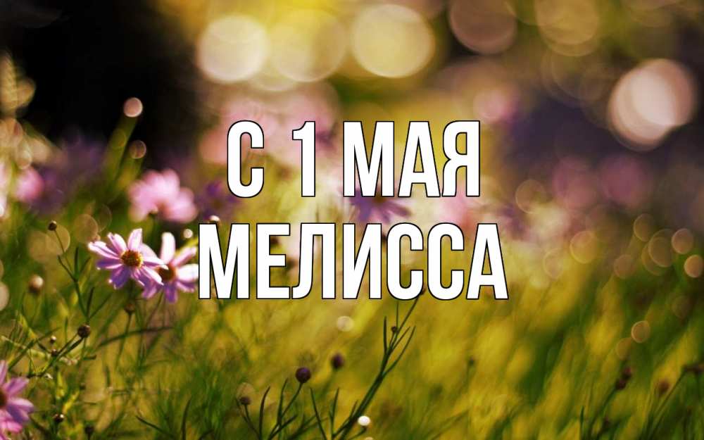 Открытка на каждый день с именем, Мелисса С 1 мая С 1 мая Прикольная открытка с пожеланием онлайн скачать бесплатно 