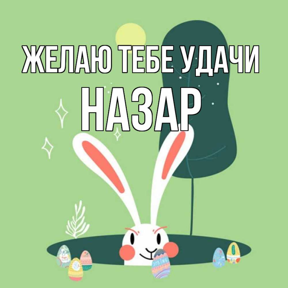 Открытка на каждый день с именем, Назар Желаю тебе удачи заяц Прикольная открытка с пожеланием онлайн скачать бесплатно 