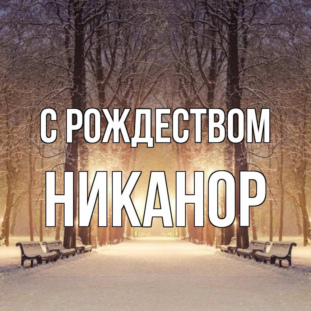 Открытка на каждый день с именем, Никанор С рождеством зима, парк, фонарь, лес Прикольная открытка с пожеланием онлайн скачать бесплатно 