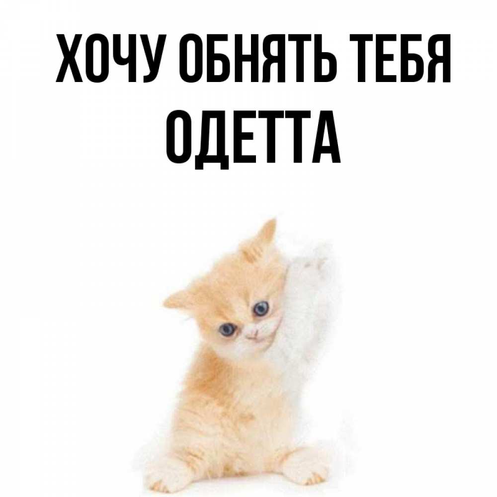 Открытка на каждый день с именем, Одетта Хочу обнять тебя я хочу очень скорее обнимаешек Прикольная открытка с пожеланием онлайн скачать бесплатно 