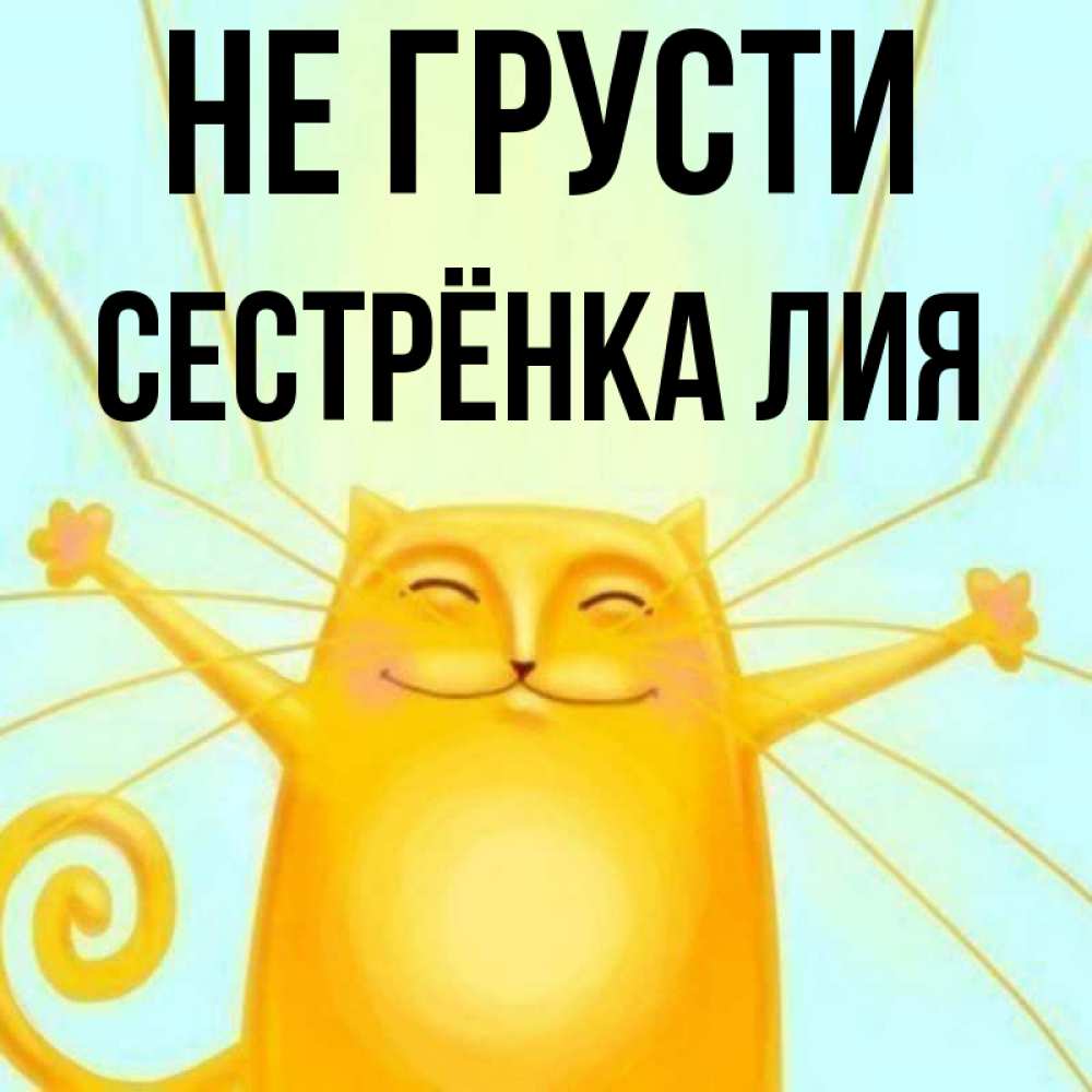 Открытка на каждый день с именем, Сестрёнка-Лия Не грусти обнимашки усатые Прикольная открытка с пожеланием онлайн скачать бесплатно 
