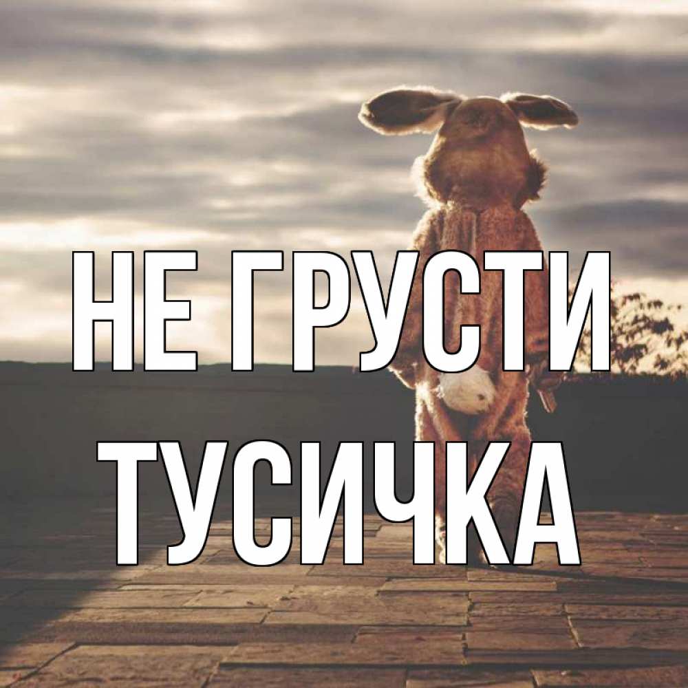 Открытка на каждый день с именем, Тусичка Не грусти со спины Прикольная открытка с пожеланием онлайн скачать бесплатно 