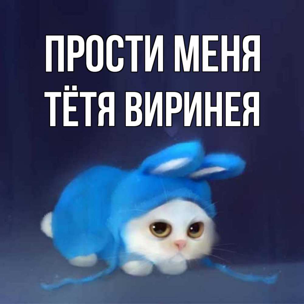 Открытка на каждый день с именем, Тётя-Виринея Прости меня невинный котозай просит прощения Прикольная открытка с пожеланием онлайн скачать бесплатно 