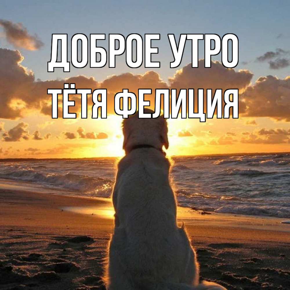 Открытка на каждый день с именем, Тётя-Фелиция Доброе утро восход солнца Прикольная открытка с пожеланием онлайн скачать бесплатно 