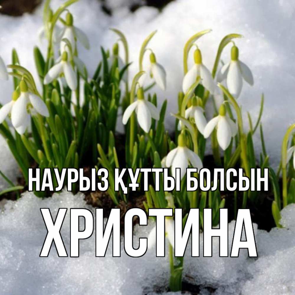 Открытка на каждый день с именем, Христина Наурыз құтты болсын цветы весенние Прикольная открытка с пожеланием онлайн скачать бесплатно 