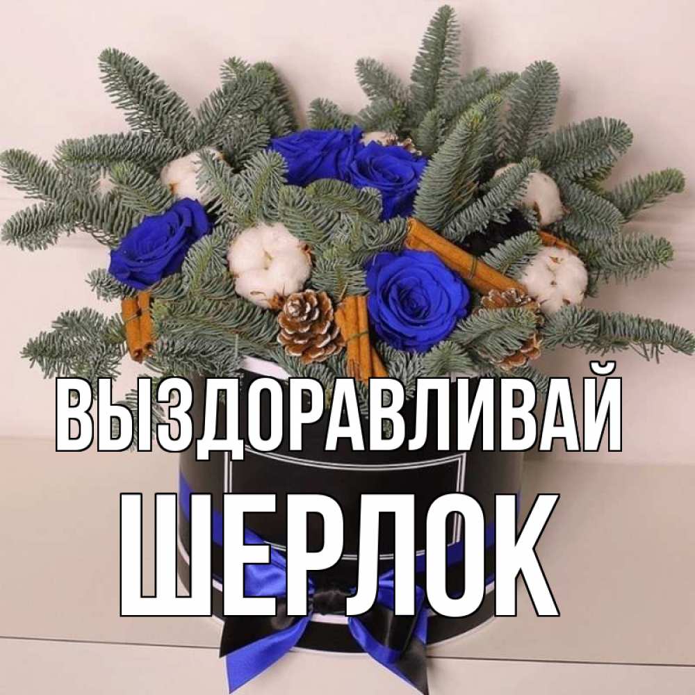 Открытка на каждый день с именем, Шерлок Выздоравливай короче кто то загрузил эти шишки Прикольная открытка с пожеланием онлайн скачать бесплатно 