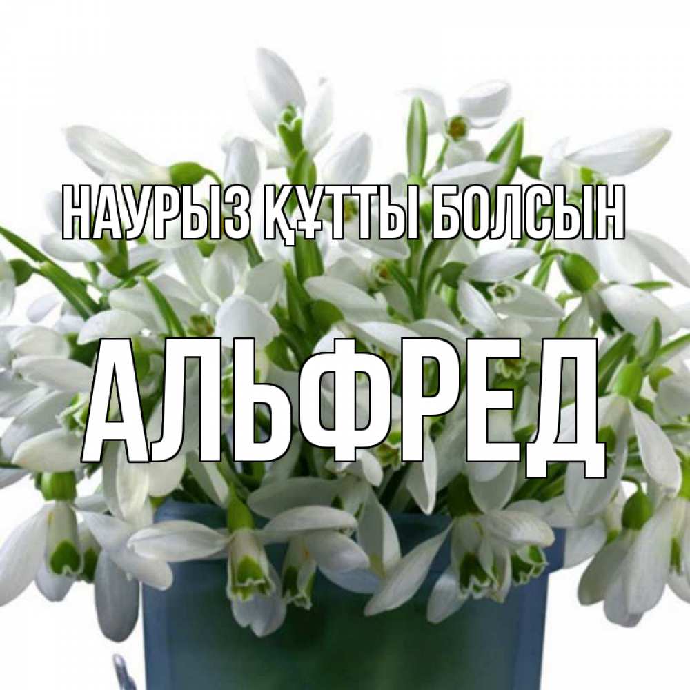 Открытка на каждый день с именем, Альфред Наурыз құтты болсын цветы к наурызу Прикольная открытка с пожеланием онлайн скачать бесплатно 