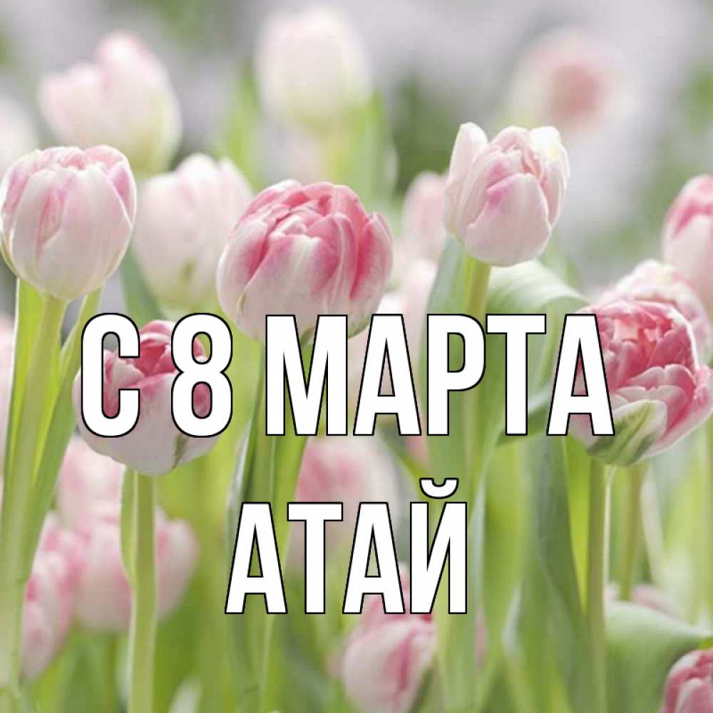 Картинка С 8 МАРТА, Атай
