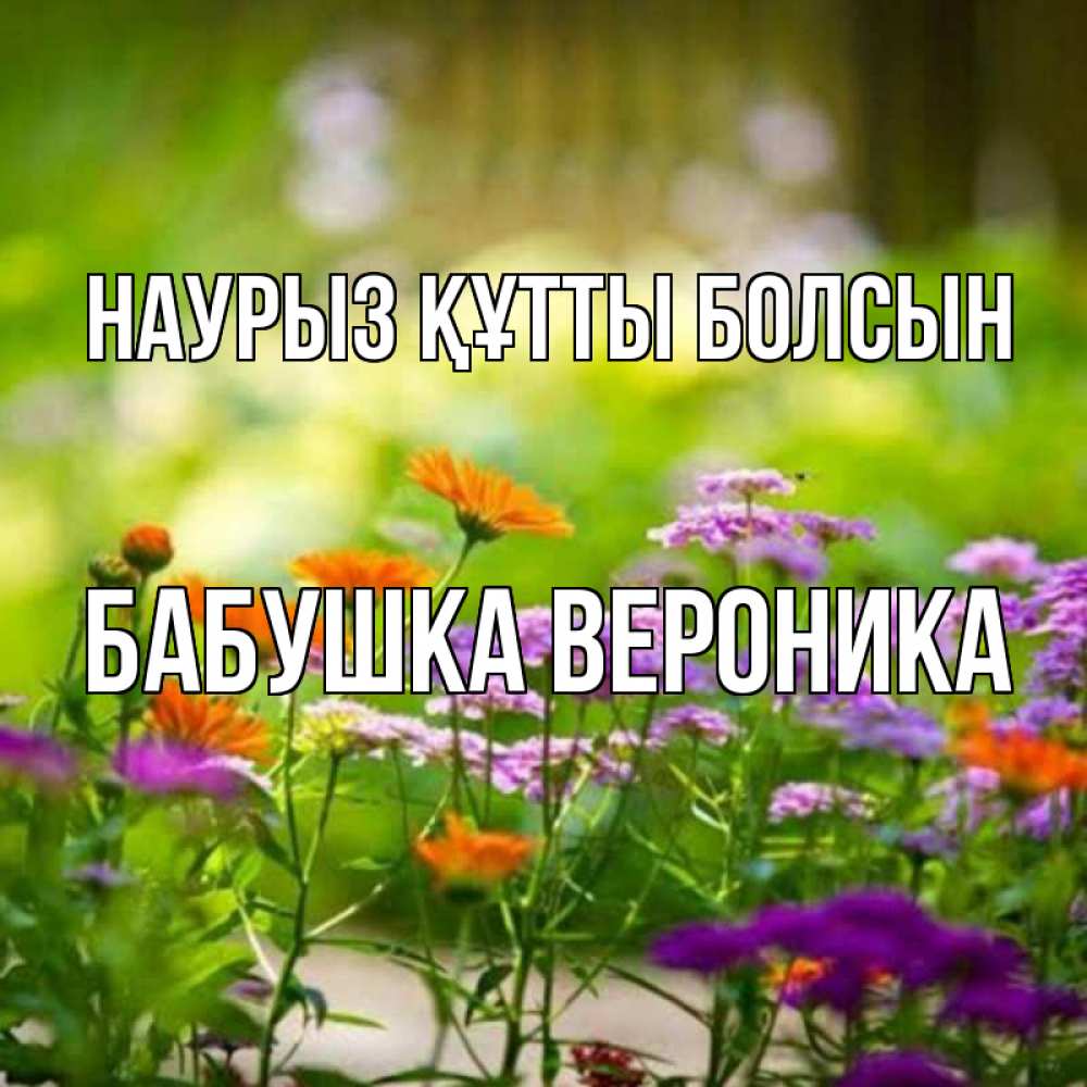 Открытка на каждый день с именем, Бабушка-Вероника Наурыз құтты болсын цветы Прикольная открытка с пожеланием онлайн скачать бесплатно 