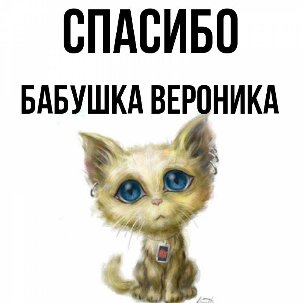 Открытка на каждый день с именем, Бабушка-Вероника Спасибо рисованный кот благодарит вас Прикольная открытка с пожеланием онлайн скачать бесплатно 