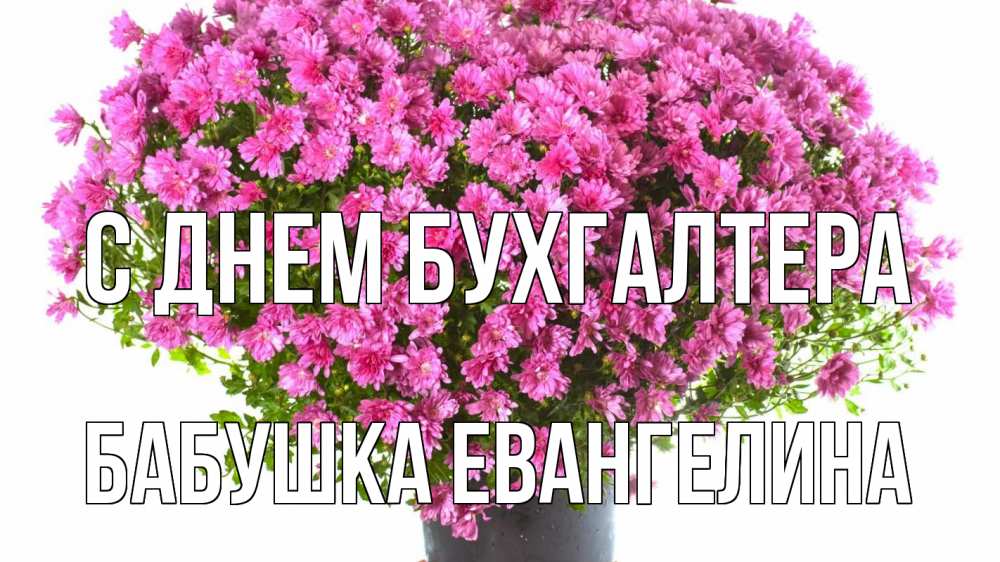 Открытка на каждый день с именем, Бабушка-Евангелина С днем бухгалтера с днем бухгалтера Прикольная открытка с пожеланием онлайн скачать бесплатно 