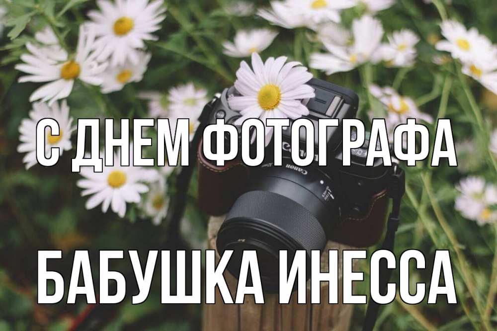Открытка на каждый день с именем, Бабушка-Инесса С днем фотографа с днем фотографа Прикольная открытка с пожеланием онлайн скачать бесплатно 