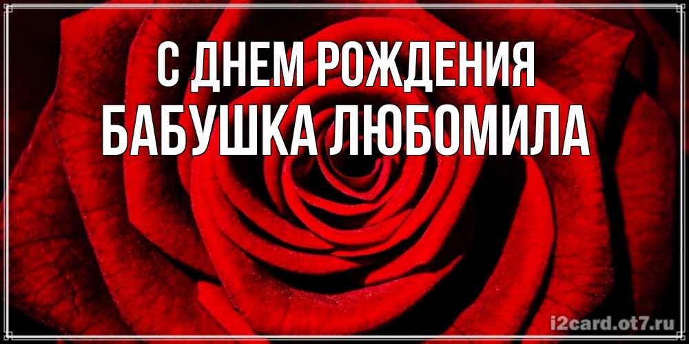 Открытка на каждый день с именем, Бабушка-Любомила С днем рождения алая роза Прикольная открытка с пожеланием онлайн скачать бесплатно 